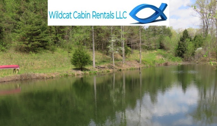 Property Logo
